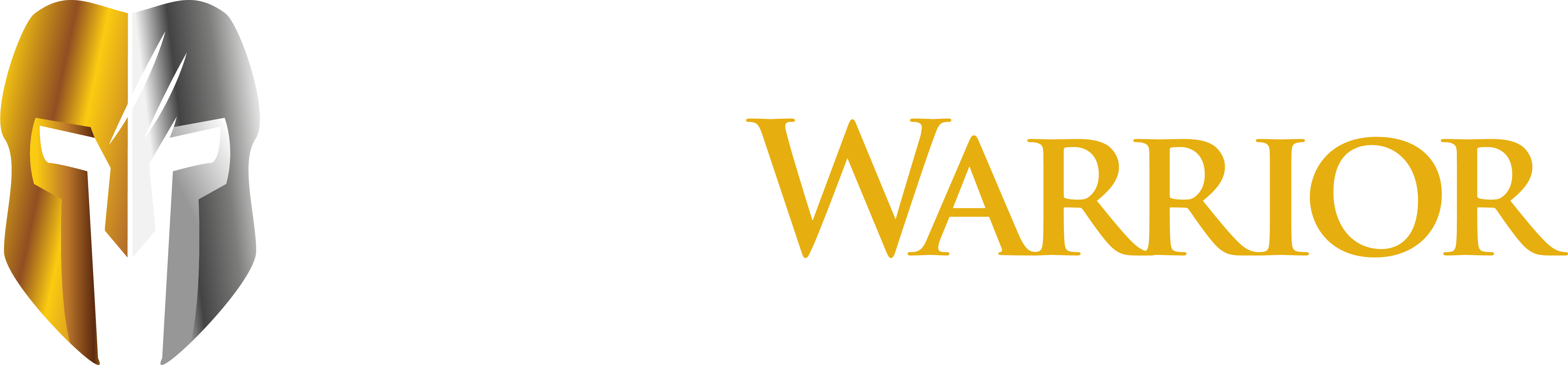 CEO Warrior